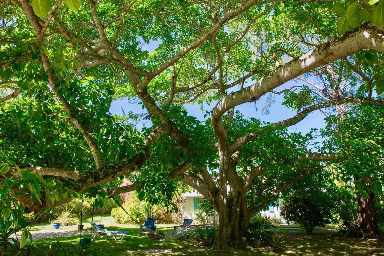 Poponi House Home North Palmetto Point Buitenkant foto